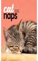 CAT NAPS EASEL DESK CALENDAR 2021