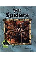Wolf Spiders