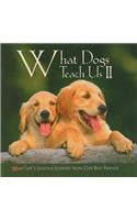 What Dogs Teach Us II