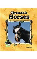 Clydesdale Horses: (Animal Kingdom)