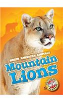 Mountain Lions