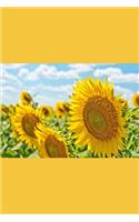 Sunflower Journal
