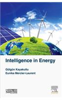 Intelligence in Energy