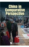 China in Comparative Perspective