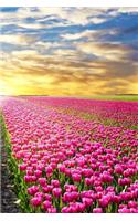 Tulip Notebook