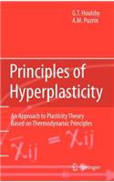 Principles of Hyperplasticity