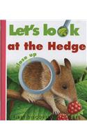 Let's Look at the Hedge