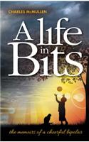 A Life in Bits
