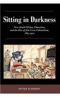 Sitting in Darkness: New South Fiction, Education, and the Rise of Jim Crow Colonialism, 1865-1920
