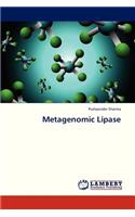 Metagenomic Lipase
