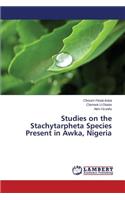 Studies on the Stachytarpheta Species Present in Awka, Nigeria