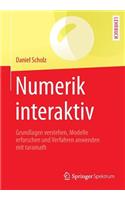 Numerik Interaktiv