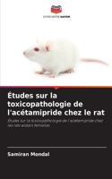 Études sur la toxicopathologie de l'acétamipride chez le rat