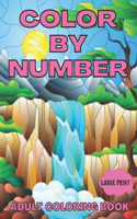 large print color by numbers coloring book for adults