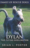 Dylan