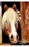 My Address Book: Horse Cover - Address Book for Names, Addresses, Phone Numbers, E-mails and Birthdays