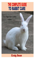 The Complete Guide to Rabbit Care: 101 tips for rabbits care