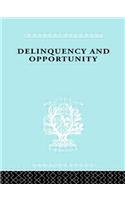 Delinquency and Opportunity