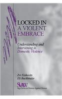 Locked in A Violent Embrace: Understanding and Intervening in Domestic Violence(SAGE Series on Violence against Women)