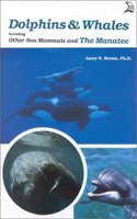 Dolphins & Whales