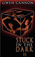 Stuck in the Dark II