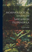 A Morphological Study Of Sargassum Filipendula
