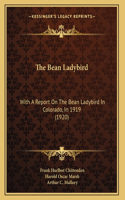 The Bean Ladybird