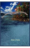 One Tree With Many Branches: (English)