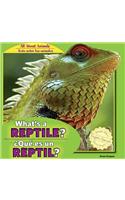 What's a Reptile? / ¿Qué Es Un Reptil?