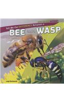 Tell Me the Difference Between a Bee and a Wasp: (How Are They Different?)