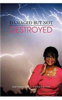 Damaged But Not Destroyed