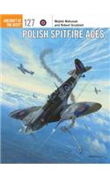 Polish Spitfire Aces