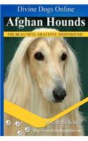 Afghan Hounds