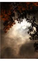 A Beautiful Tree Glowing in the Light of a Full Moon in Autumn Journal: 150 Page Lined Notebook/Diary