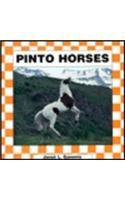 Pinto Horses