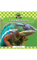 Chameleons