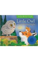 Little Owl and the Noisy Night