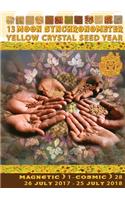 13 Moon Synchronometer - Yellow Crystal Seed, July 26 2017 - July 25 2018