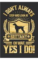I Don't Always Stop and Look At Brittany OH Wait, Yes I Do!