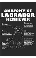 Anatomy of Labrador Retriever: Labrador Retriever Anatomy Funny Dog owner Gift Dot Grid Notebook 6x9 Inches - 120 dotted pages for notes, drawings, formulas - Organizer writing bo