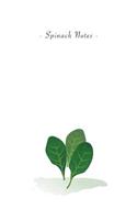 Spinach Notes: 6"x9" Ruled Lined Notebook - Watercolor Texture Vegetable Plant Illustration Cover. Matte Softcover And White Interior Papers.