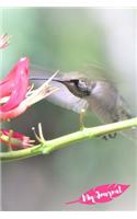 My Journal: Hummingbird with pink flowers design 108 page journal 6x9 inches for note-taking, list-making and everyday reflection(Birds in Nature Collection Everyday Journal)
