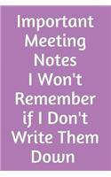 Important Meeting Notes I Won't Remember If I Don't Write Them Down