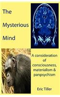 Mysterious Mind