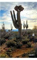 Saguaro
