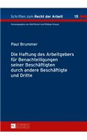 Die Haftung des Arbeitgebers fuer Benachteiligungen seiner Beschaeftigten durch andere Beschaeftigte und Dritte