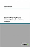 Finanzielle Komponenten eines Mietvertrages über Gewerberäume: (German)