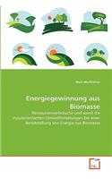 Energiegewinnung aus Biomasse