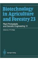 Plant Protoplasts and Genetic Engineering IV