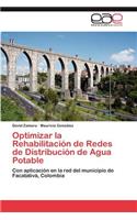 Optimizar La Rehabilitacion de Redes de Distribucion de Agua Potable